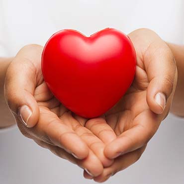 hands holding a heart